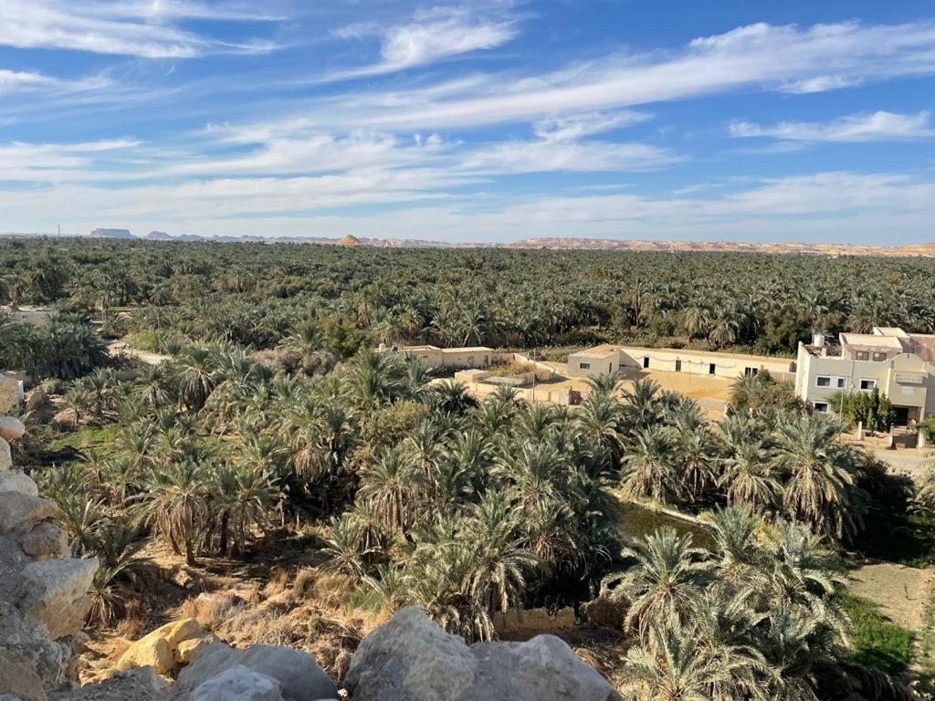 Sleep In Siwa Hotel Siwa Oasis Exterior foto